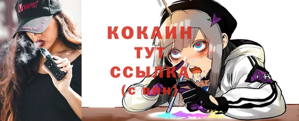 кокс Алексин