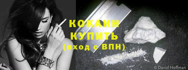 кокс Алексин