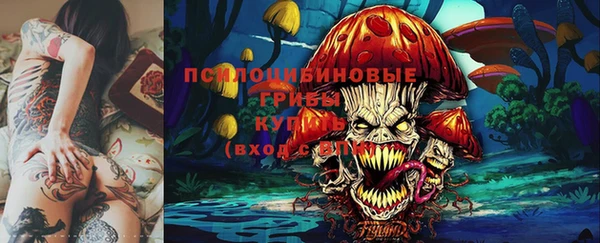 МДПВ Алексеевка