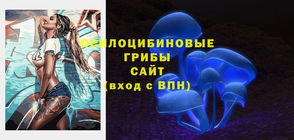 кокс Алексин