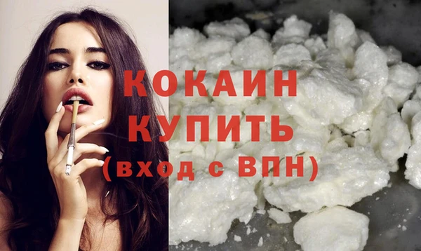 кокс Алексин
