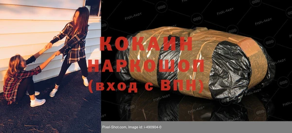 кокс Алексин