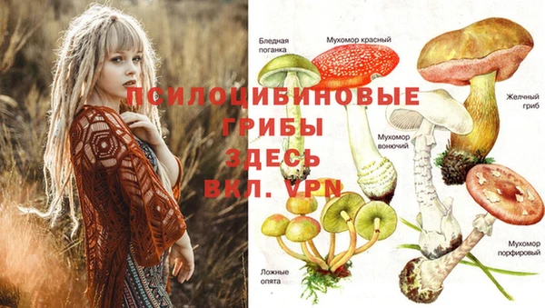 МДПВ Алексеевка