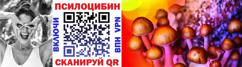 Псилоцибиновые грибы Psilocybine cubensis  наркотики  Кольчугино 